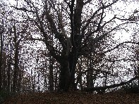 nte Fontane-201011107 038